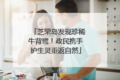 芝罘岛发现珍稀牛背鹭！政民携手护生灵重返自然